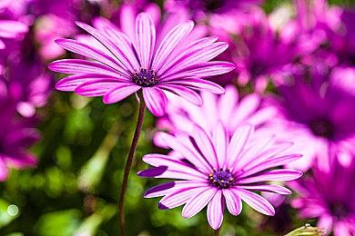 日本一新作《真空饲育箱2》 将于6月23日推出体验版