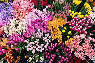 Rare慈善活动：捐献《盗贼之海》周末宠物交易所得